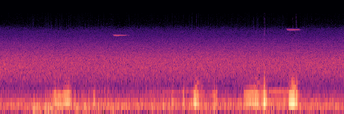 Spectrogram: Insect Wingbeats With Varied Thrush Song